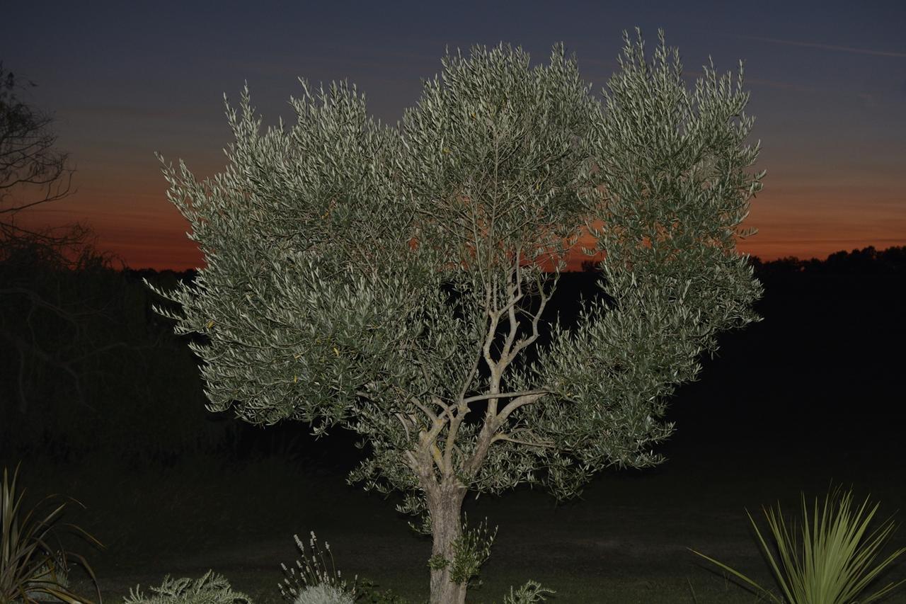 فندق Le Pre Joli Beaugas المظهر الخارجي الصورة
